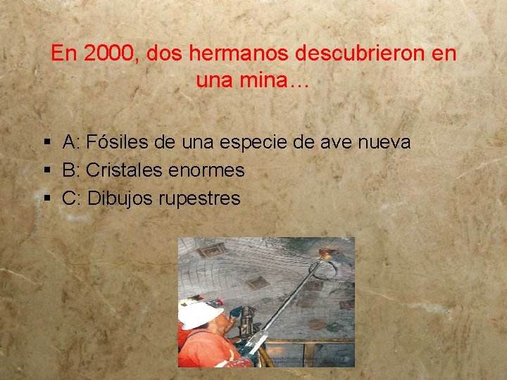 En 2000, dos hermanos descubrieron en una mina… § A: Fósiles de una especie