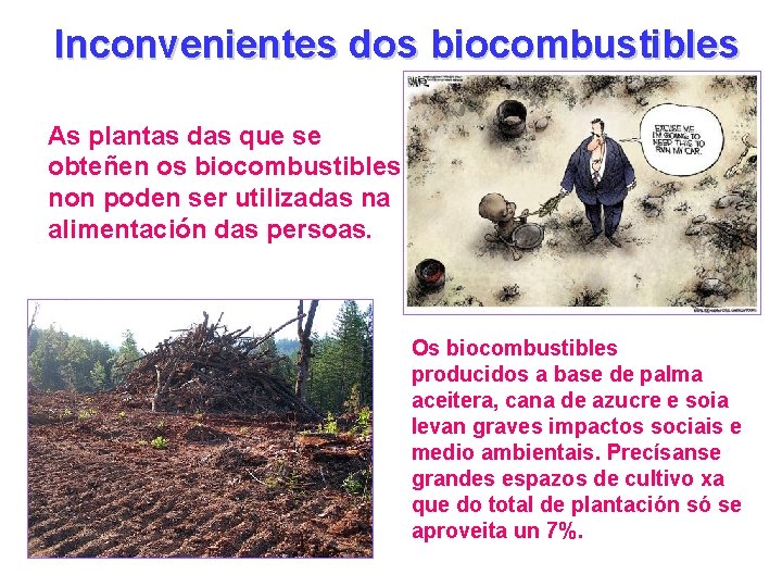 Inconvenientes dos biocombustibles As plantas das que se obteñen os biocombustibles non poden ser