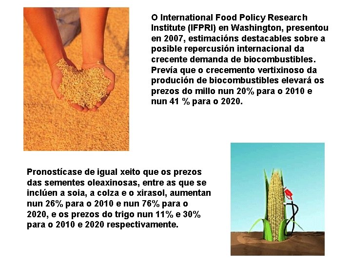 O International Food Policy Research Institute (IFPRI) en Washington, presentou en 2007, estimacións destacables