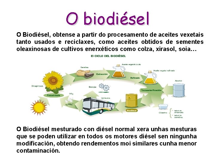 O biodiésel O Biodiésel, obtense a partir do procesamento de aceites vexetais tanto usados