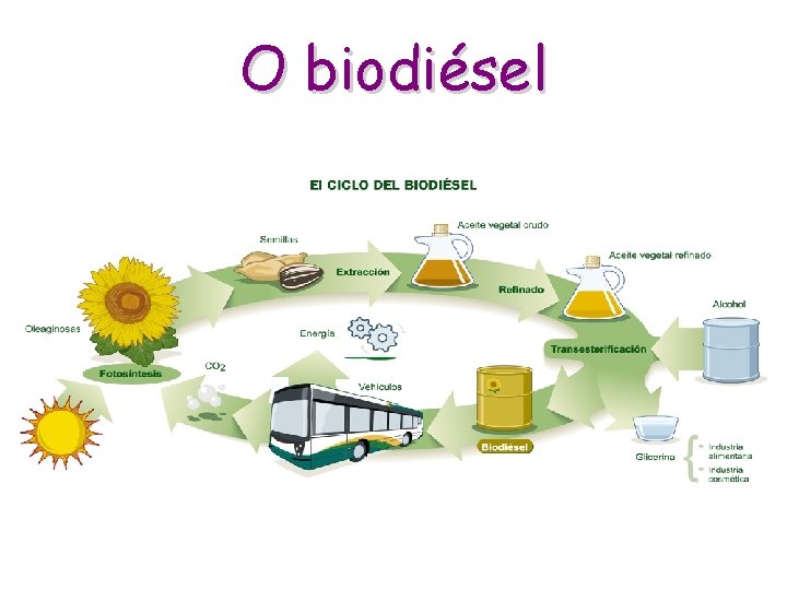 O biodiésel 