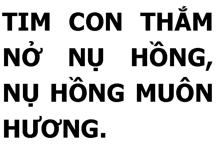 TIM CON THẮM NỞ NỤ HỒNG, NỤ HỒNG MUÔN HƯƠNG. 