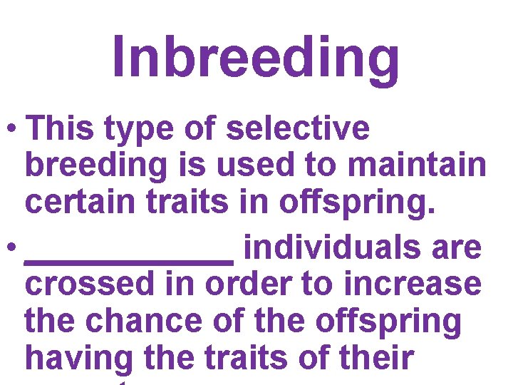 Inbreeding • This type of selective breeding is used to maintain certain traits in