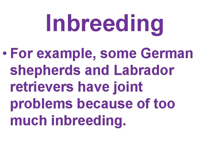 Inbreeding • For example, some German shepherds and Labrador retrievers have joint problems because