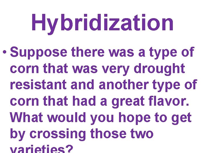 Hybridization • Suppose there was a type of corn that was very drought resistant