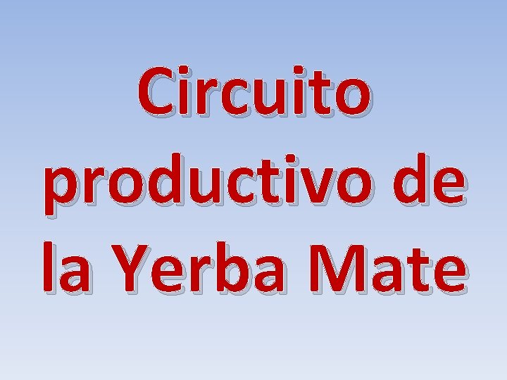 Circuito productivo de la Yerba Mate 