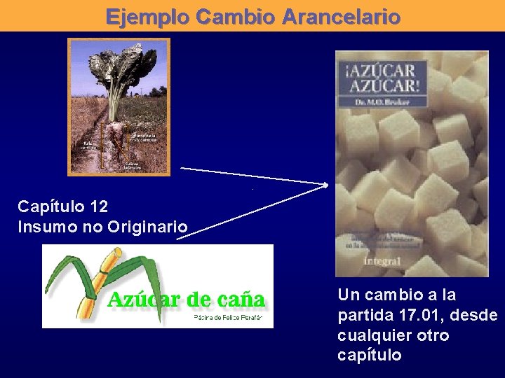 Ejemplo Cambio Arancelario Capítulo 12 Insumo no Originario Un cambio a la partida 17.