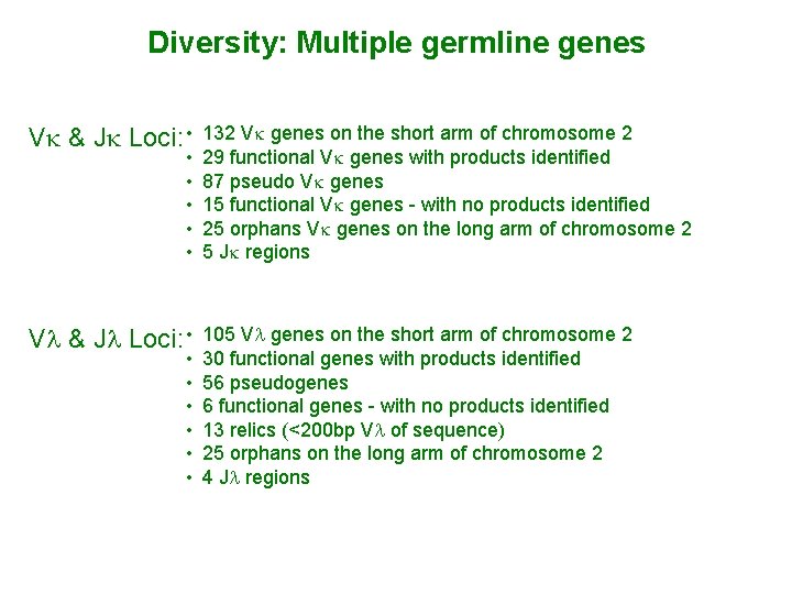 Diversity: Multiple germline genes Vk & Jk Loci: • 132 Vk genes on the