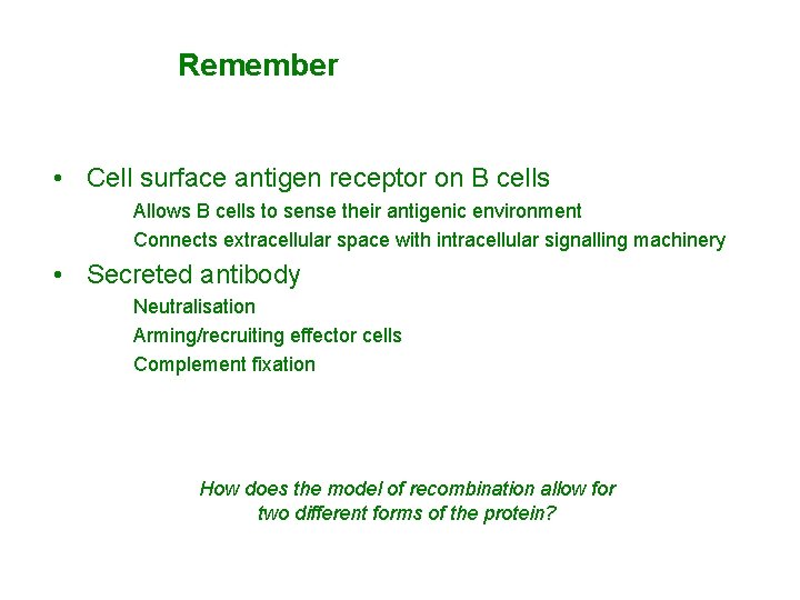 Remember • Cell surface antigen receptor on B cells Allows B cells to sense