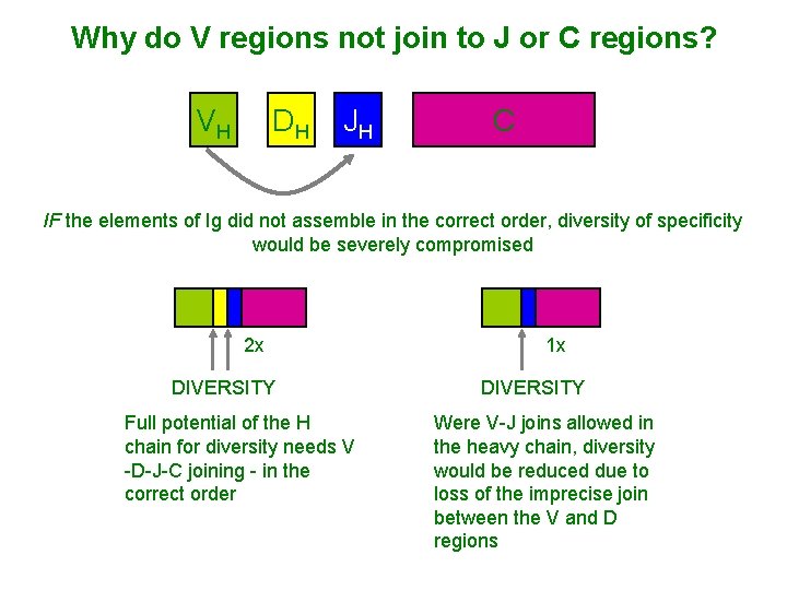 Why do V regions not join to J or C regions? VH DH JH