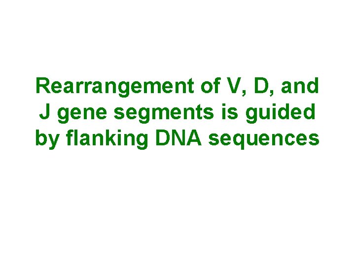 Rearrangement of V, D, and J gene segments is guided by flanking DNA sequences