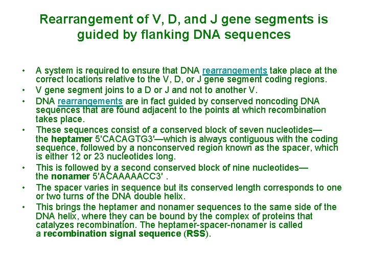 Rearrangement of V, D, and J gene segments is guided by flanking DNA sequences