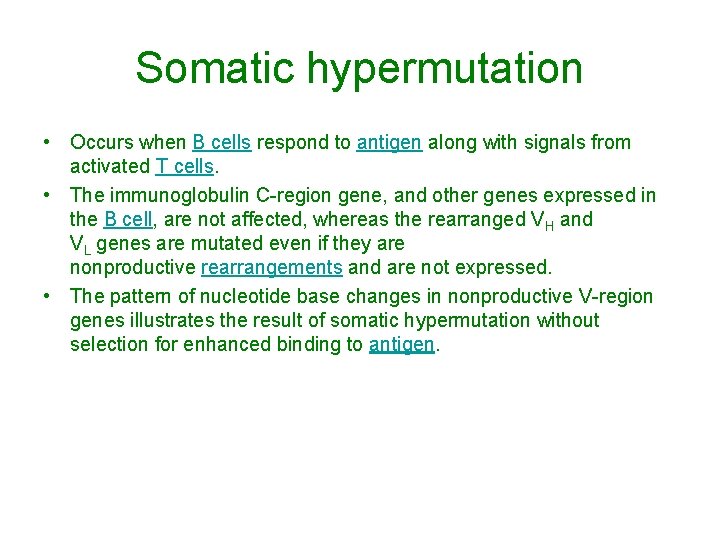 Somatic hypermutation • Occurs when B cells respond to antigen along with signals from