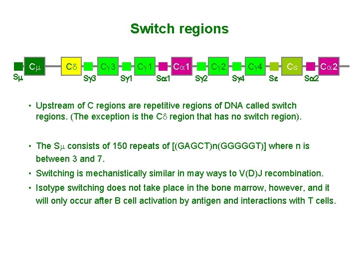 Switch regions Cm Sm Cd Cg 3 Sg 3 Cg 1 Sg 1 Ca