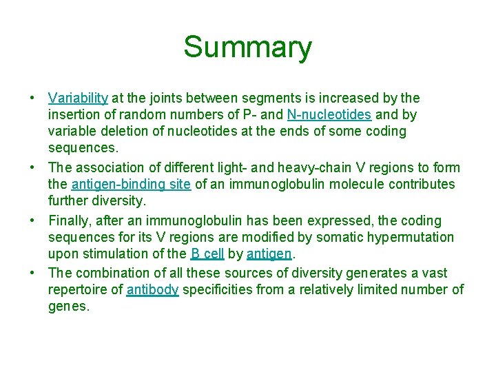 Summary • Variability at the joints between segments is increased by the insertion of