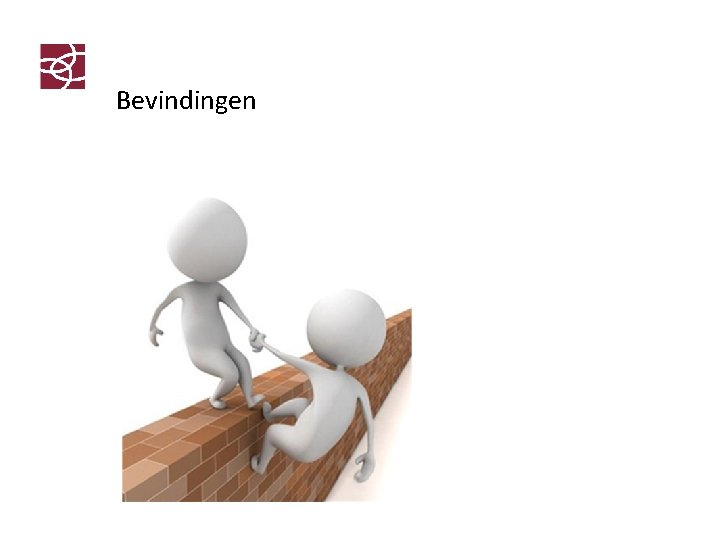 Bevindingen 