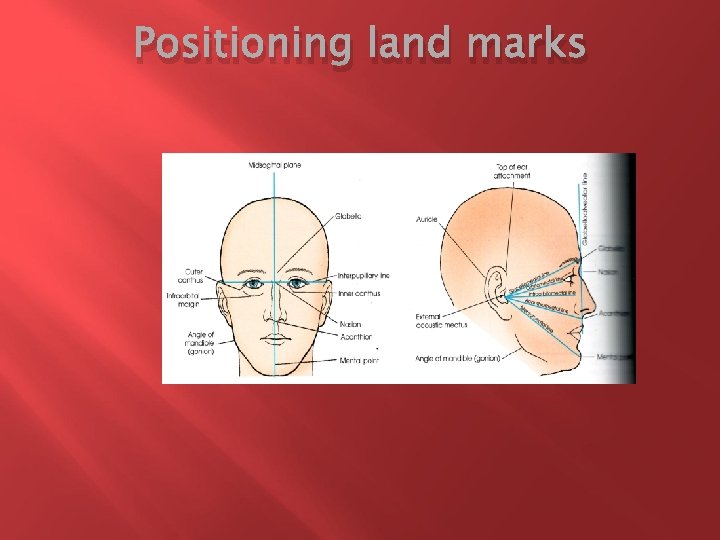 Positioning land marks 