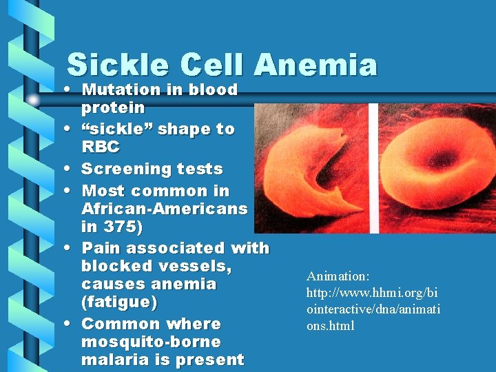 Sickle Cell Anemia • Mutation in blood protein • “sickle” shape to RBC •