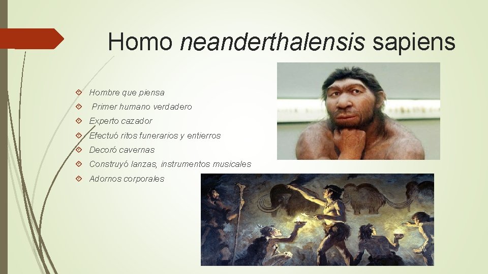 Homo neanderthalensis sapiens Hombre que piensa Primer humano verdadero Experto cazador Efectuó ritos funerarios