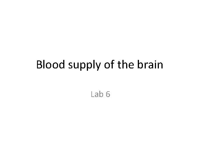 Blood supply of the brain Lab 6 