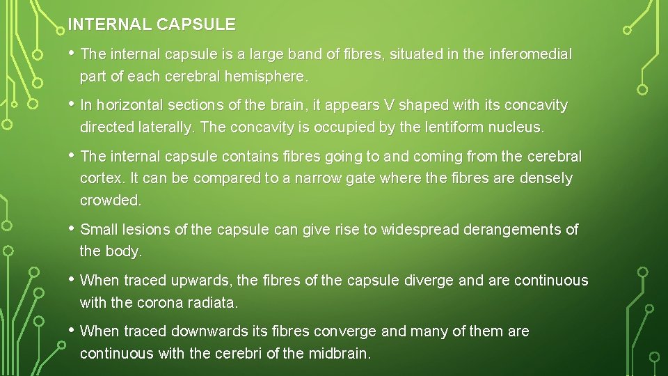 INTERNAL CAPSULE • The internal capsule is a large band of fibres, situated in