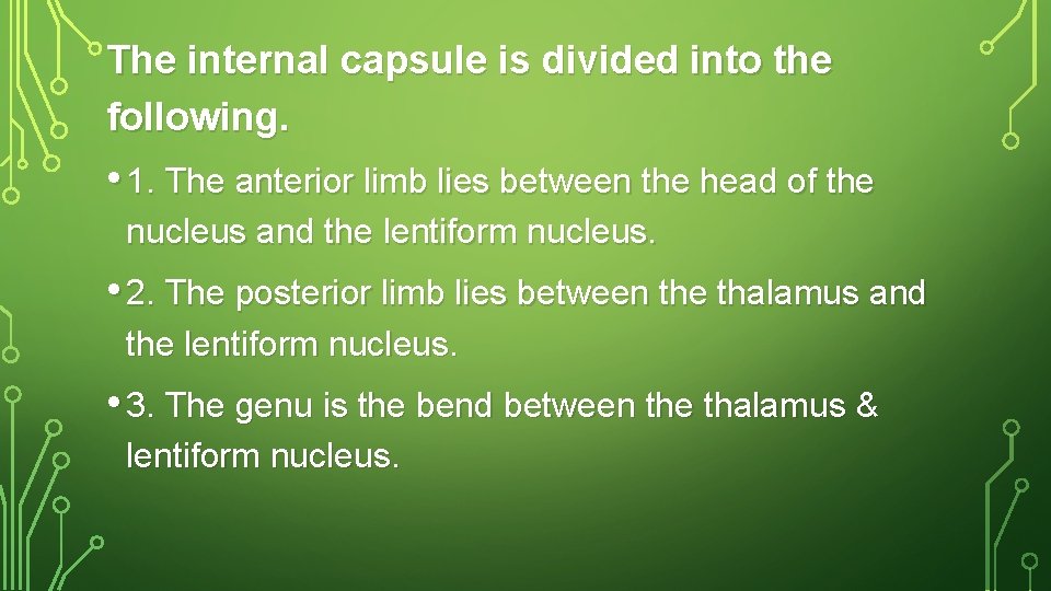 The internal capsule is divided into the following. • 1. The anterior limb lies