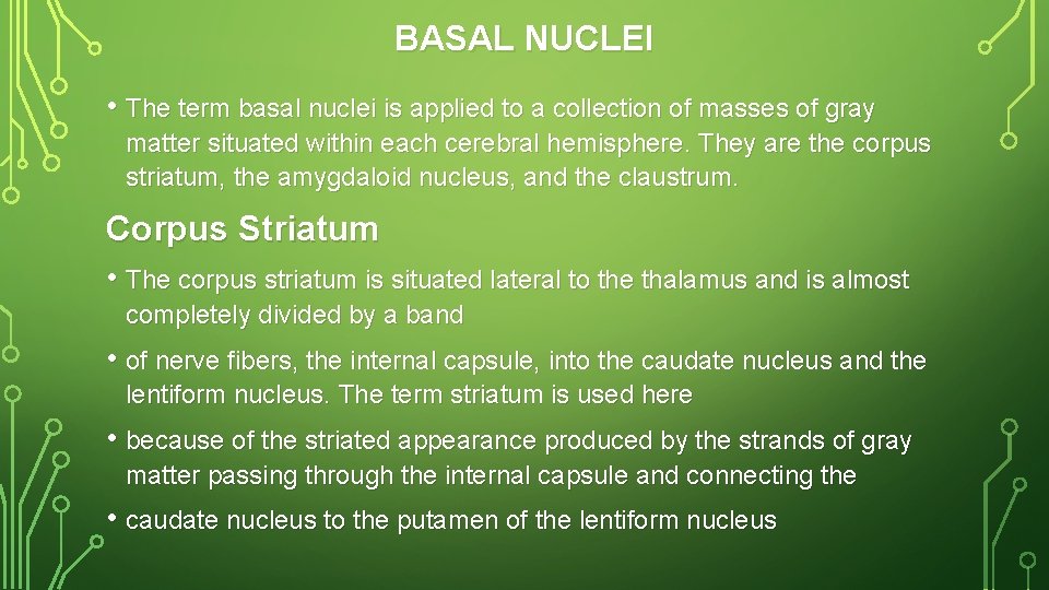 BASAL NUCLEI • The term basal nuclei is applied to a collection of masses