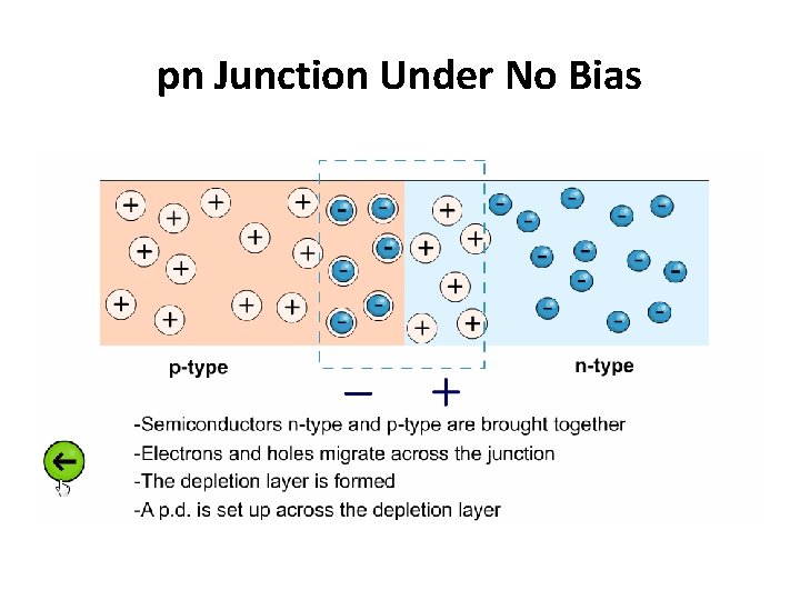 pn Junction Under No Bias 