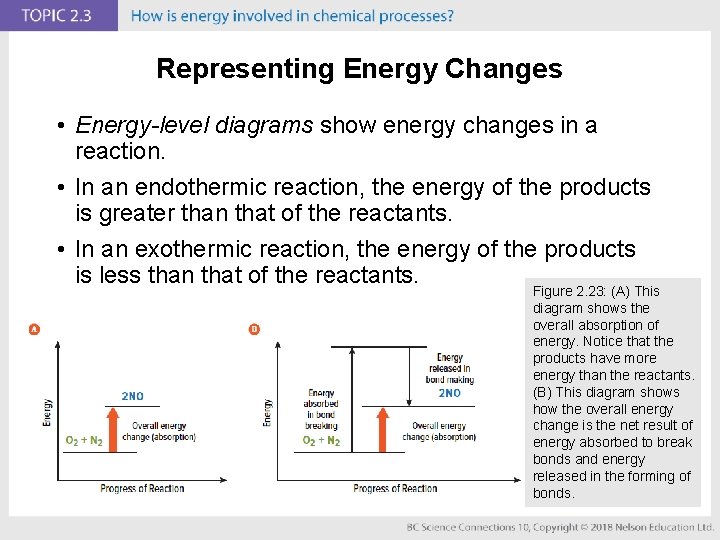 Representing Energy Changes • Energy-level diagrams show energy changes in a reaction. • In