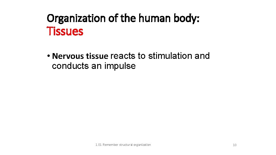 Organization of the human body: Tissues • Nervous tissue reacts to stimulation and conducts