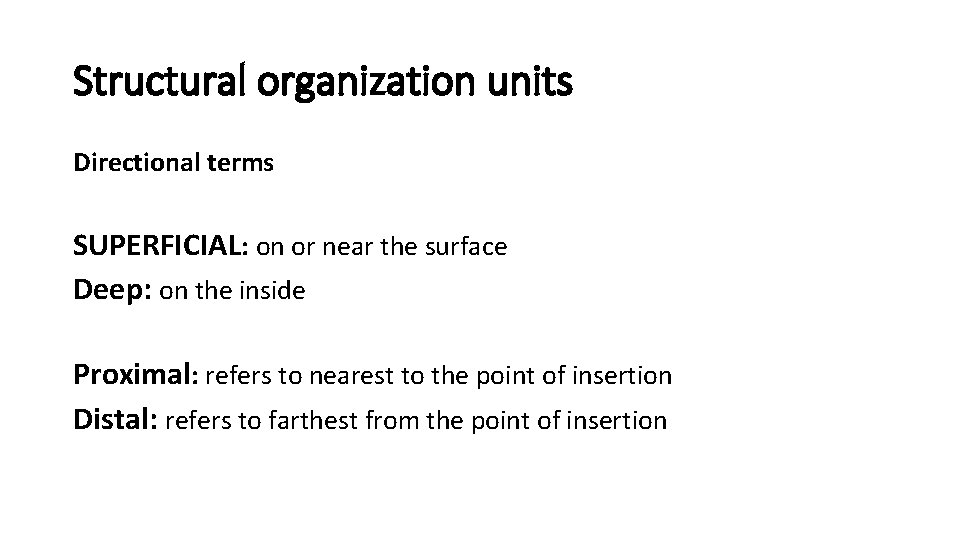 Structural organization units Directional terms SUPERFICIAL: on or near the surface Deep: on the