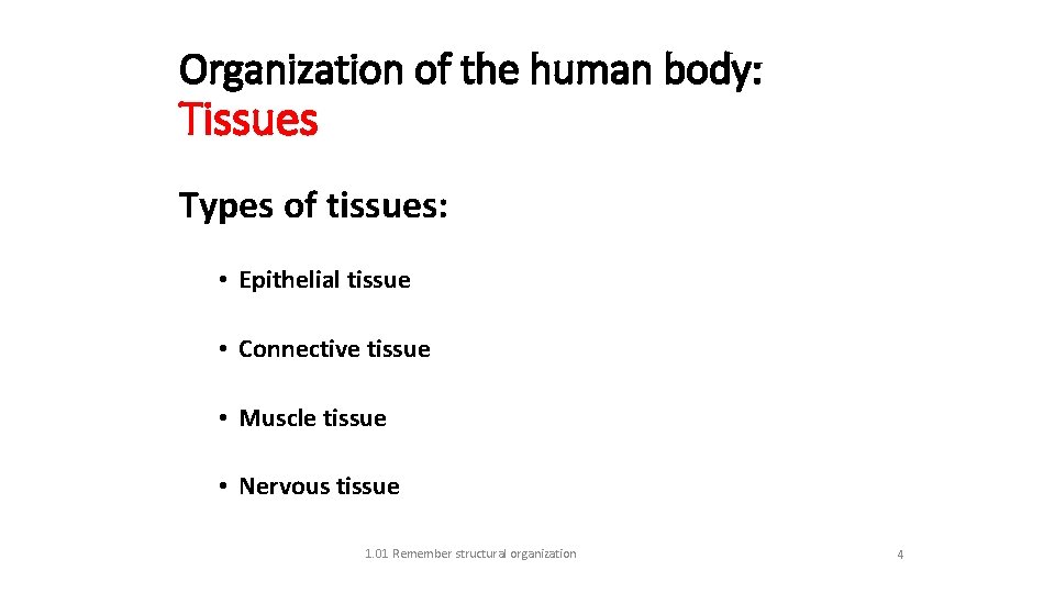 Organization of the human body: Tissues Types of tissues: • Epithelial tissue • Connective