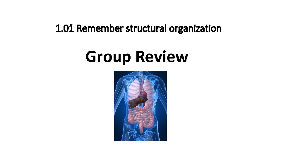 1. 01 Remember structural organization Group Review 
