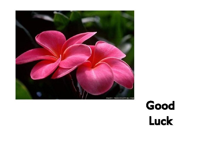 Good Luck 