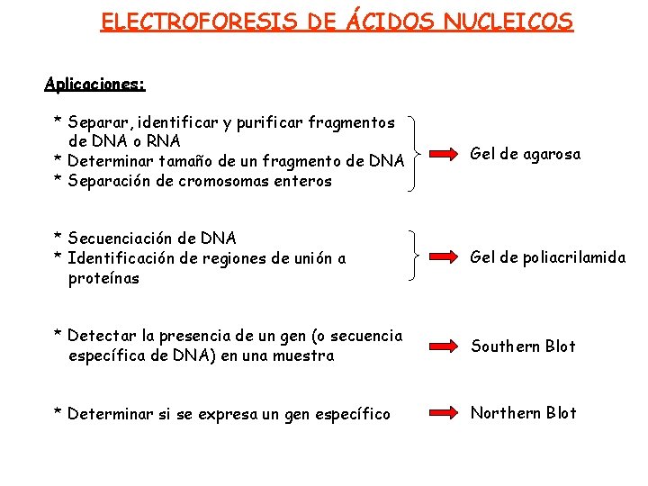 ELECTROFORESIS DE ÁCIDOS NUCLEICOS Aplicaciones: * Separar, identificar y purificar fragmentos de DNA o
