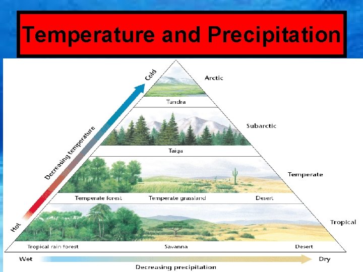 Temperature and Precipitation 