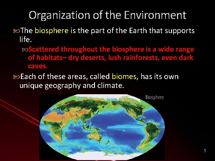 Organization of the Environment The biosphere is the part of the Earth that supports