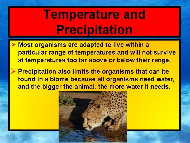 Temperature and Precipitation Ø Most organisms are adapted to live within a particular range