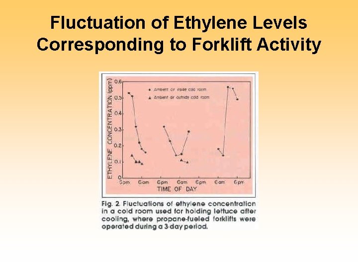 Fluctuation of Ethylene Levels Corresponding to Forklift Activity 