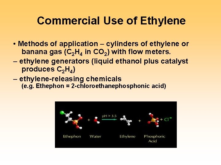 Commercial Use of Ethylene • Methods of application – cylinders of ethylene or banana