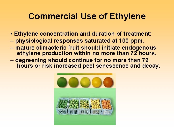 Commercial Use of Ethylene • Ethylene concentration and duration of treatment: – physiological responses
