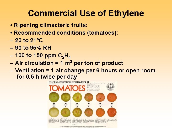 Commercial Use of Ethylene • Ripening climacteric fruits: • Recommended conditions (tomatoes): – 20