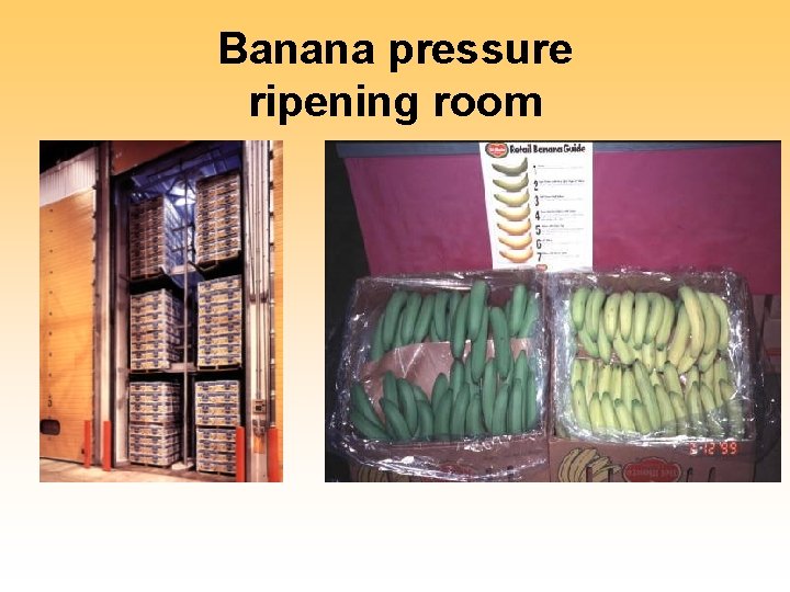 Banana pressure ripening room 