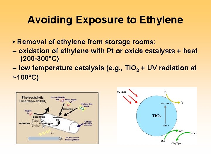 Avoiding Exposure to Ethylene • Removal of ethylene from storage rooms: – oxidation of