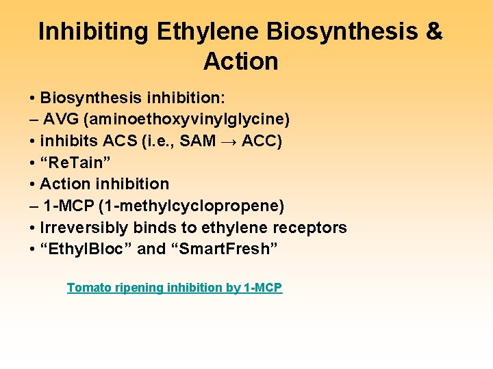 Inhibiting Ethylene Biosynthesis & Action • Biosynthesis inhibition: – AVG (aminoethoxyvinylglycine) • inhibits ACS