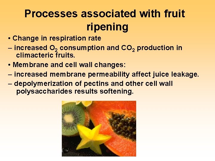 Processes associated with fruit ripening • Change in respiration rate – increased O 2