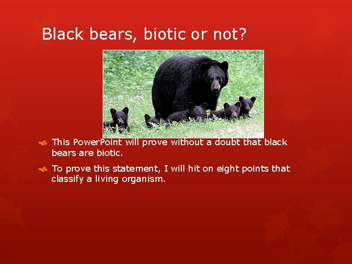 Black bears, biotic or not? This Power. Point will prove without a doubt that