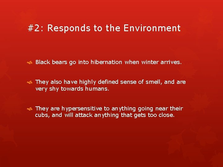 #2: Responds to the Environment Black bears go into hibernation when winter arrives. They