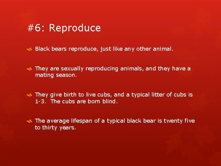 #6: Reproduce Black bears reproduce, just like any other animal. They are sexually reproducing