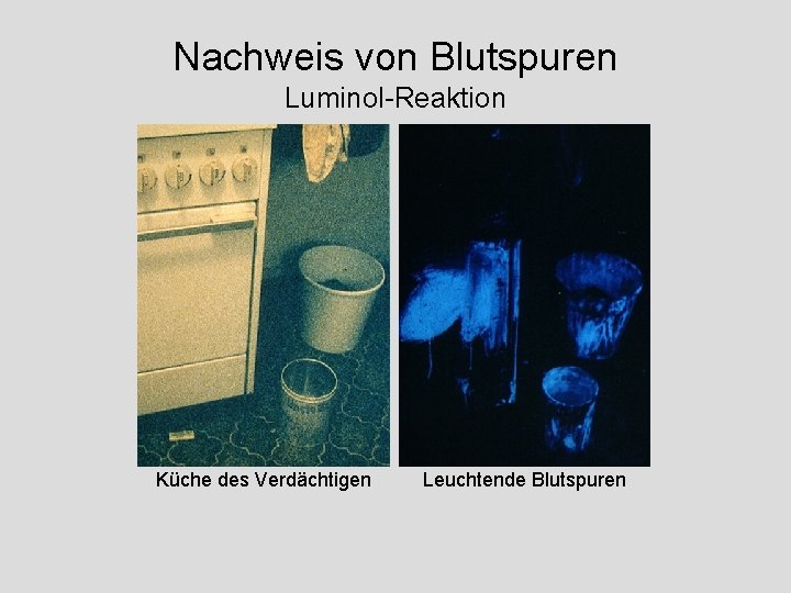 Nachweis von Blutspuren Luminol-Reaktion Küche des Verdächtigen Leuchtende Blutspuren 